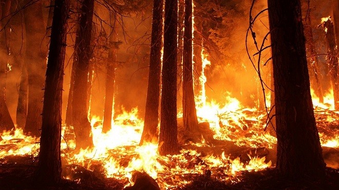 Những đám cháy lớn lan rộng tại 4 vùng của Siberia và vùng Viễn Đông của Nga.