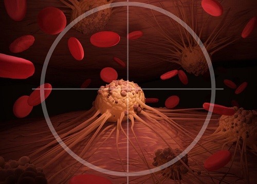 Các nhà khoa học phát hiện mối liên hệ giữa ung thư và bệnh tim mạch