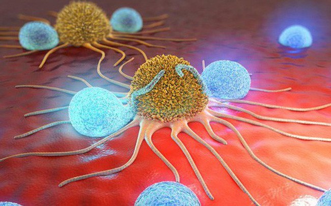 10 giải pháp “phong tỏa” tế bào ung thư: Nếu muốn phòng bệnh hiệu quả, hãy tham khảo ngay