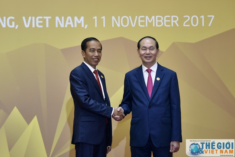 Chủ tịch nước Trần Đại Quang đón Tổng thống Indonesia Joko Widodo tại Hội nghị Thượng đỉnh APEC tổ chức tại Việt Nam, tháng 11/2017.