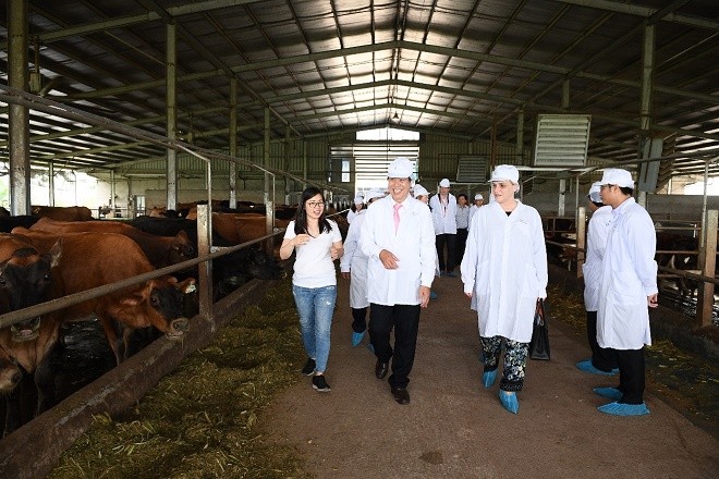 Sự hợp tác chặt chẽ giữa Sữa Cô Gái Hà Lan và các đối tác, Dự án Phát triển Vùng chăn nuôi bò sữa bền vững ngày càng phát triển, tạo lập nên những giá trị tốt đẹp cho cả cộng đồng