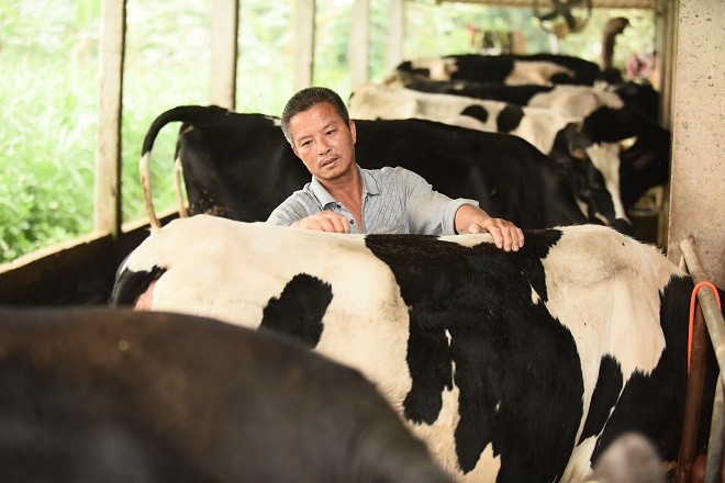 Chương trình “Phát triển ngành sữa” với những kiến thức mới và cập nhật đã giúp người nông dân trở nên chuyên nghiệp hơn đặc biệt trong việc chăm sóc đàn bò và quản lý chuồng trại.