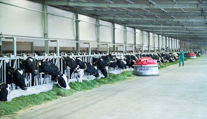 Dính tin đồn nguyên liệu sữa bột nhập khẩu, vốn hóa Vinamilk bị thổi bay hơn 5.500 tỷ đồng.
