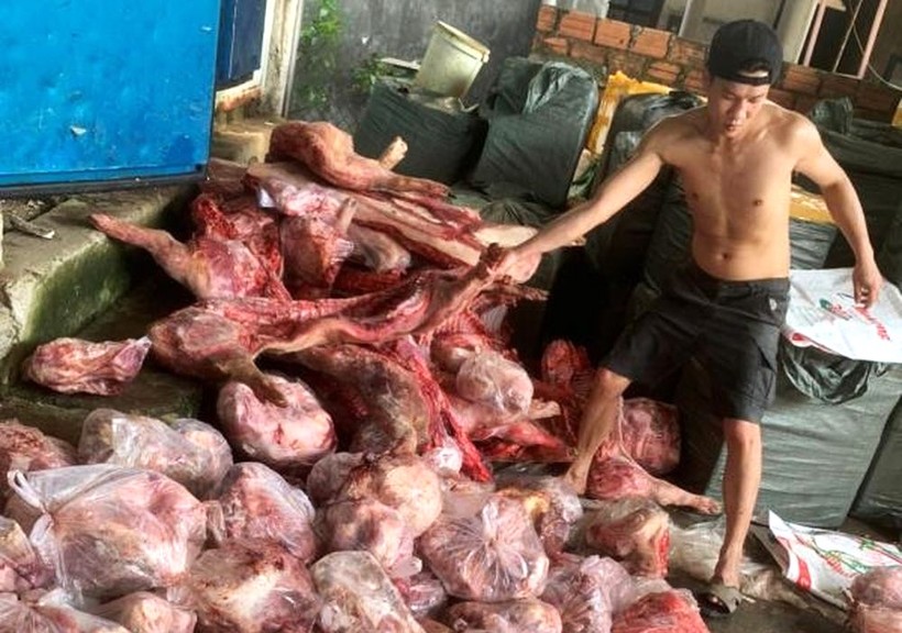 Hơn 3 tấn thịt và nội tạng lợn không rõ nguồn gốc vừa bị phát hiện, tạm giữ tại Huế. (Ảnh: CACC)