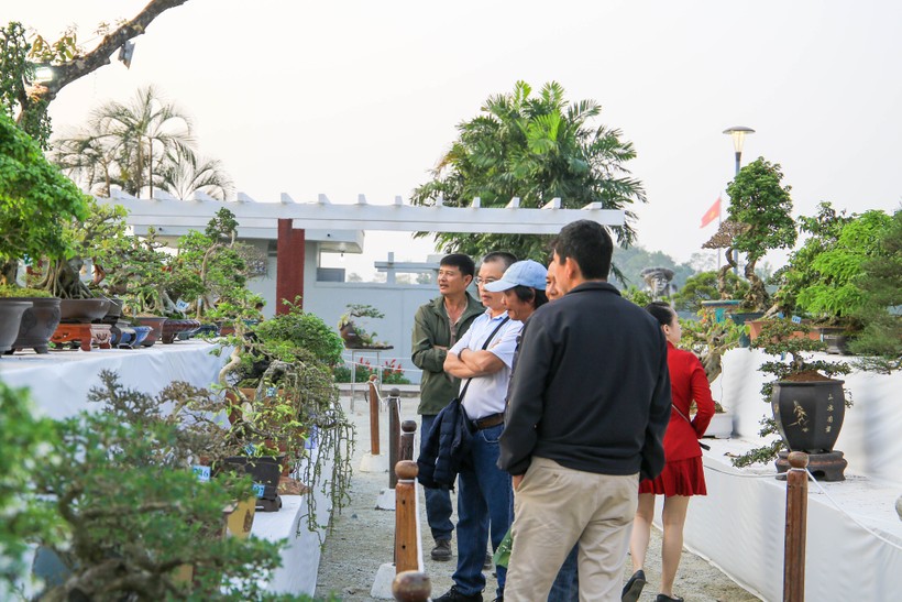 Người dân, du khách tham quan không gian trưng bày các chậu cây bonsai.
