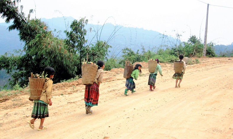 Những đứa trẻ người Mông ở xã Trung Lý (Mường Lát,Thanh Hóa) đi hái măng rừng