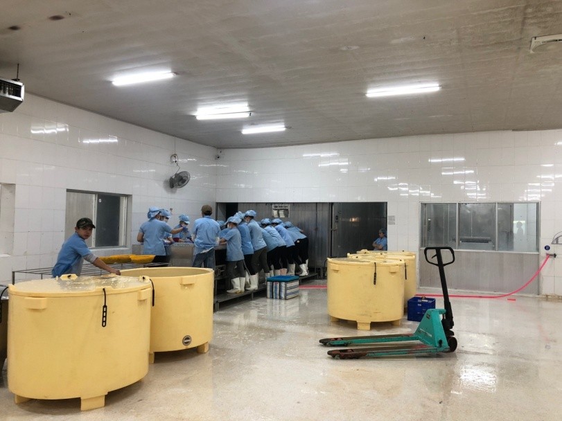 Nhóm công nhân của Công ty Minh Hiếu đang làm việc tại dây chuyền sản xuất tôm
