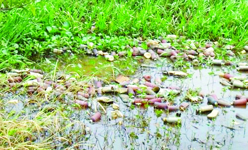 Ô nhiễm môi trường trong sản xuất nông nghiệp ở ĐBSCL ngày càng nghiêm trọng.