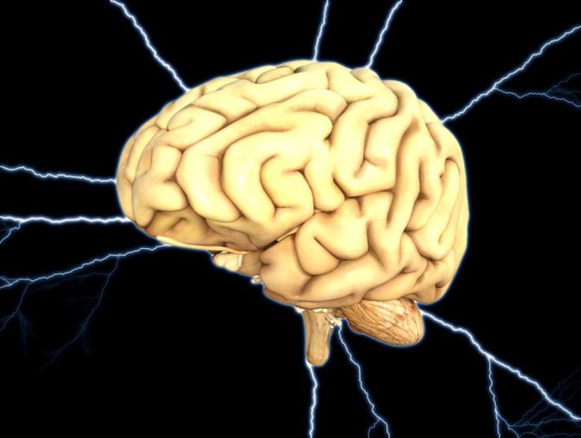 Việc tạo ra não người trong phòng thí nghiệm đang gây nhiều tranh cãi giữa khoa học và vấn đề đạo đức.