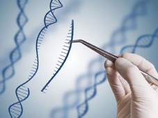 Các nhà khoa học Mỹ đã sử dụng liệu pháp chỉnh sửa gen để điều trị thử nghiệm trên bệnh nhân ung thư. 	Ảnh: AP