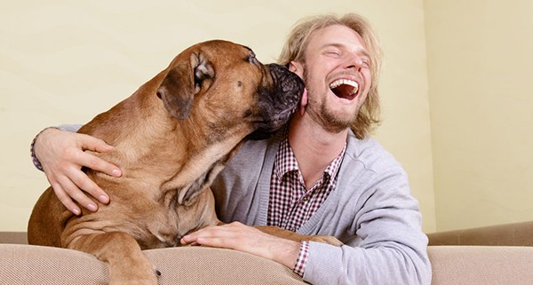 Nhiều giống chó dễ gặp vấn đề về sức khỏe do giao phối cận huyết
