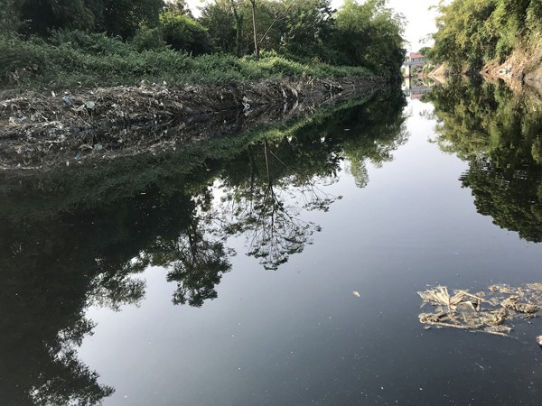 Sông Ngũ Huyện Khê đoạn qua Đặng Xá ô nhiễm nghiêm trọng