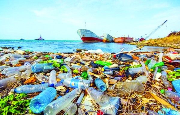 Rác thải nhựa đang ảnh hưởng đến môi trường đại dương của chúng ta