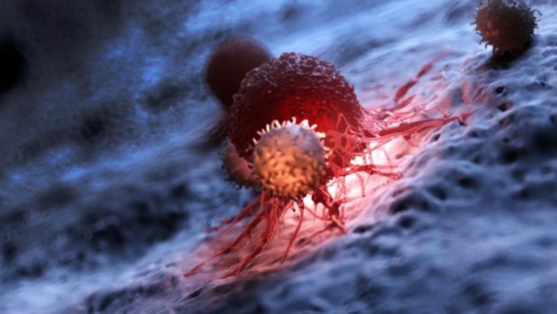 Tế bào chết: “Thuốc thần” trong điều trị ung thư?
