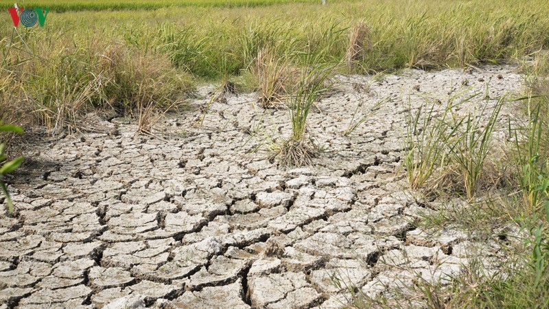 Hạn mặn ở ĐBSCL và cả nước khi nào sẽ kết thúc?