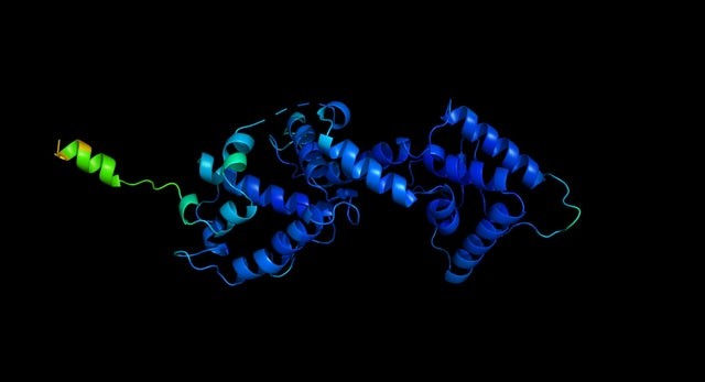 Hình dạng 3D của protein.