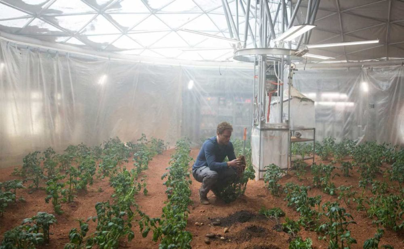 Cảnh trồng khoai tây trong phim “Người sao Hỏa”.