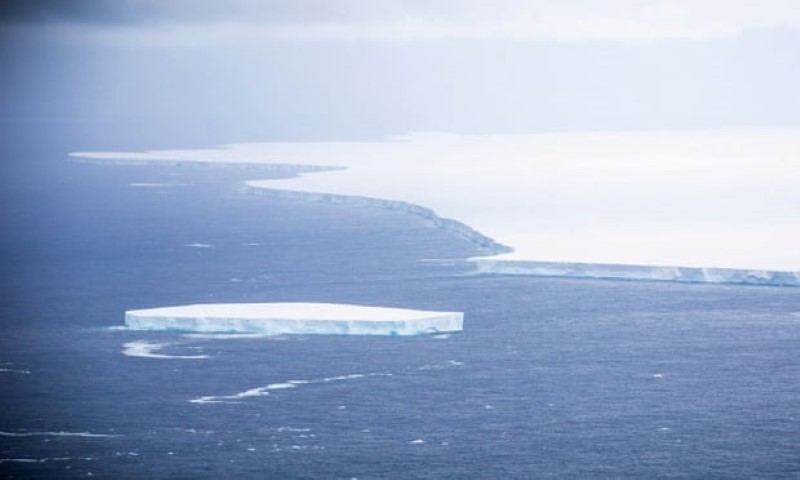 Núi băng trôi có thể đe dọa mạng sống của hàng loạt sinh vật biển.