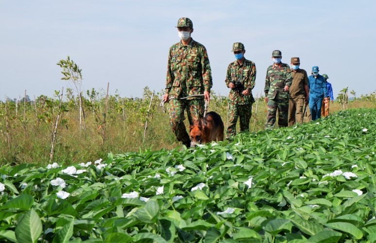 Giáp Tết, lực lượng Bộ đội Biên phòng tỉnh An Giang bám biên giới, phòng ngừa tình trạng xuất, nhập cảnh trái phép. 