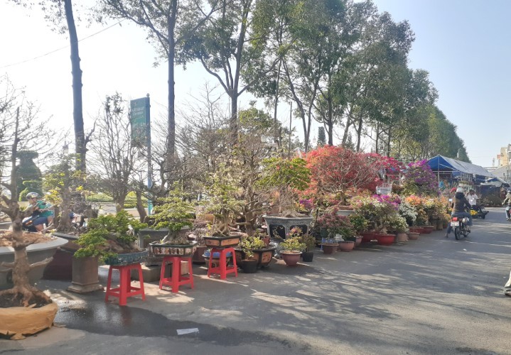 Nhiều loại hoa kiểng trưng Tết bày bán tại khu vực bến Ninh Kiều (TP Cần Thơ).