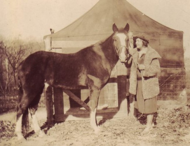 Con ngựa Lady và chủ nhân Claudia.