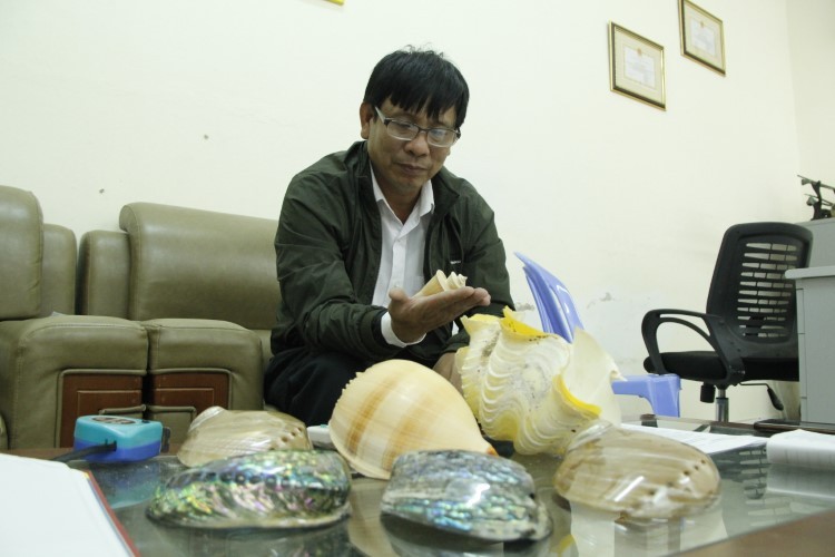 Ông Phan Thanh Toại bên bộ sưu tập vỏ ốc do ông sưu tầm.