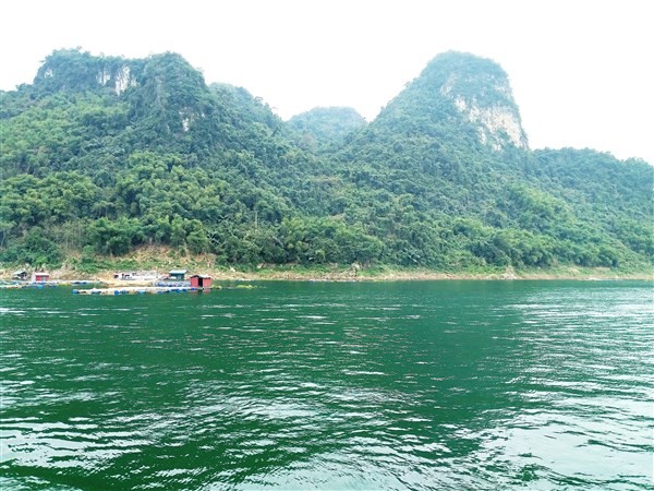 Khung cảnh sông Đà trong xanh chảy qua Mường Tè. 