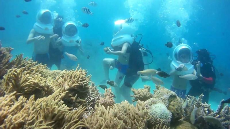 Du khách tham quan rạn san hô trên vịnh Nha Trang.