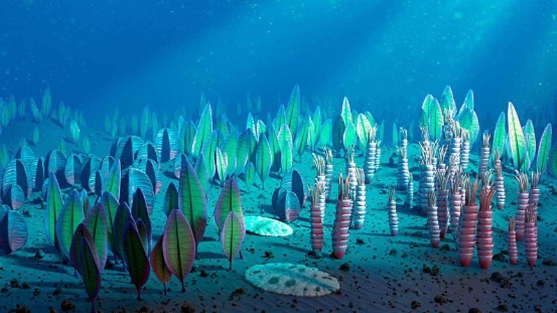 Gene “quái vật biển” 500 triệu năm tồn tại ở người