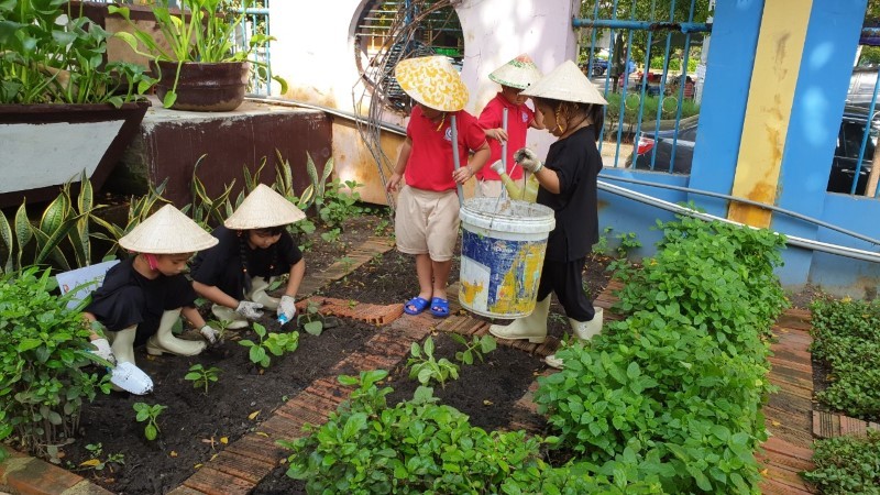 Học sinh Trường MN Trí Đức 1 chăm sóc vườn rau.