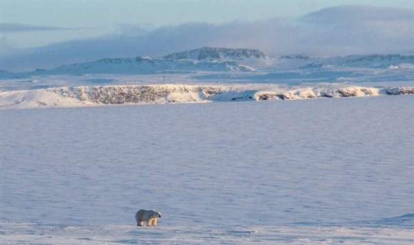 Nhiệt độ trung bình hằng năm của Bắc Cực đã tăng 3,1 độ C.