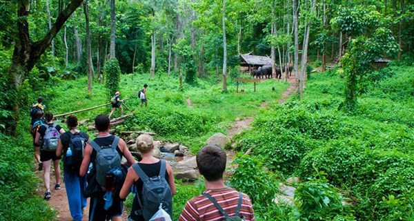 Hình ảnh trong rừng quốc gia Cúc Phương.