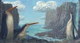 Phát hiện hóa thạch chim cánh cụt khổng lồ