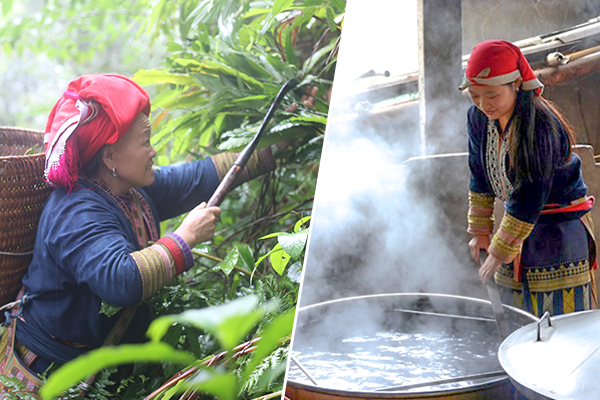 Người phụ nữ Dao đi lấy lá thuốc và nấu thành hỗn hợp nước tắm tốt cho sức khỏe.