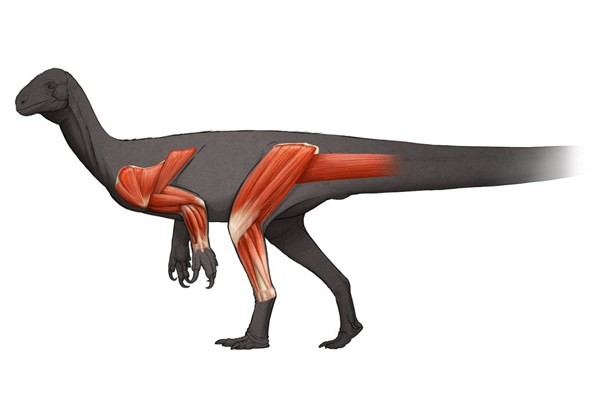 Tổ tiên của khủng long chân thằn lằn