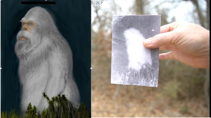 Bức ảnh sinh vật lạ do Allen Plaster chụp (phải) và hình dạng của nó theo mô tả của các nhân chứng.