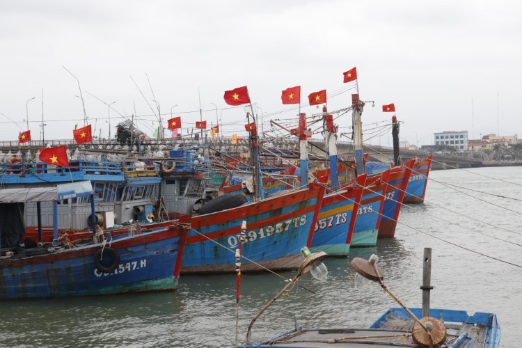 Tàu cá của ngư dân nằm bờ vì giá xăng dầu tăng cao.
