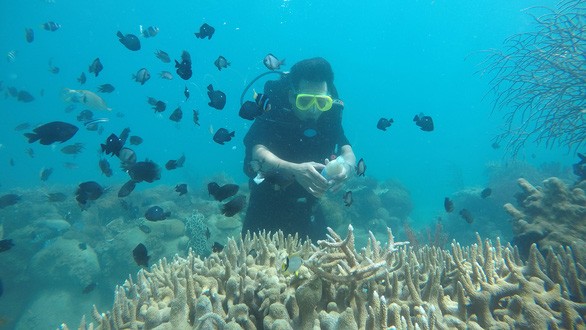 Nhóm nghiên cứu tìm hiểu hệ sinh thái của san hô biển.