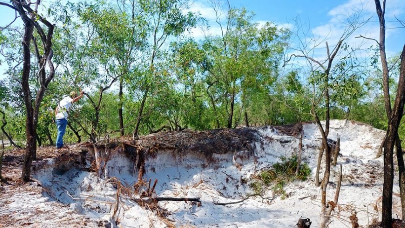 Một điểm khai thác cát trắng trái phép tại khu vực rừng phòng hộ thuộc xã Triệu Sơn.
