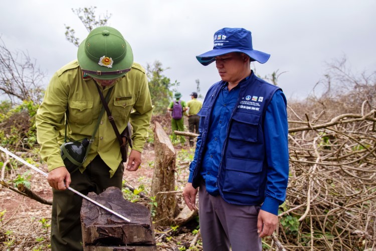 Các cơ quan chức năng của huyện Đakrông kiểm tra hiện trường vụ phá rừng trong ngày 21/4.