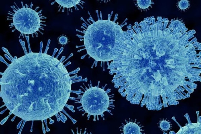 Norovirus là virus phổ biến ở nước ta. 