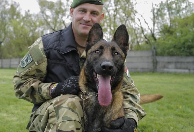 Chú chó bị ngược đãi được giải cứu gia nhập quân đội Hungary 