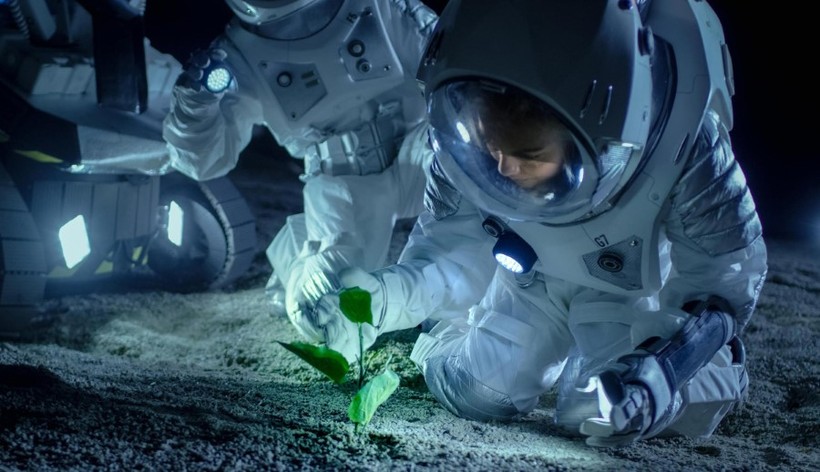 Các nhà khoa học đang tiến tới việc trồng cây trên Mặt trăng.