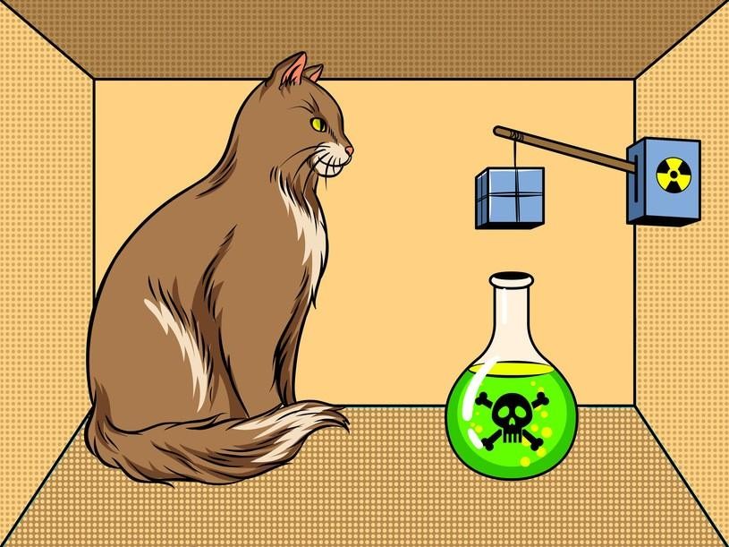 Con mèo của Schrodinger là thí nghiệm tưởng tượng nổi tiếng nhất trong cơ học lượng tử.