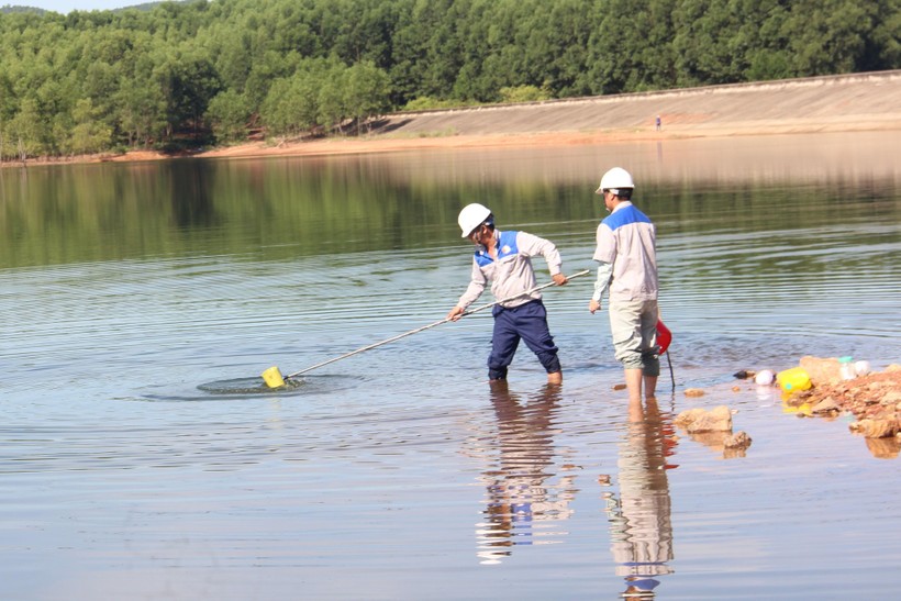 Nhân viên Công ty cổ phần Cấp nước Hà Tĩnh vớt và xử lý cá chết tại hồ Bộc Nguyên.
