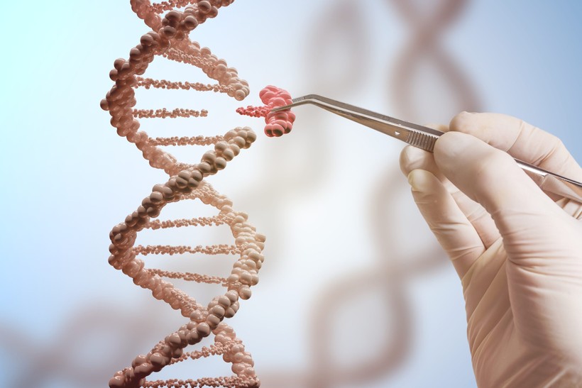 Liệu pháp di truyền hoạt động bằng cách thay thế gen đột biến bằng bản sao khỏe mạnh.