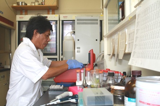 TS Lê Đình Hùng nghiên cứu xác định dòng cDNA mã hóa lectin từ rong đỏ Carrageenophyte.
