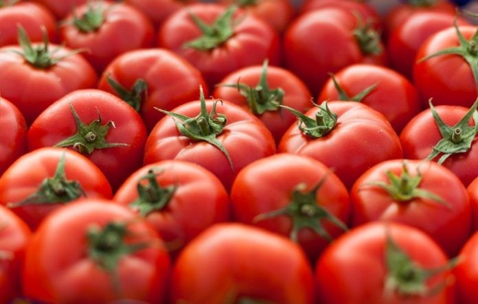 Cà chua chỉnh sửa gen giúp tăng độ ngọt và dinh dưỡng.