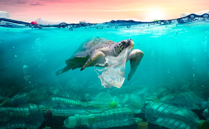 Rác thải nhựa dưới đại dương. Ảnh minh họa: ITN