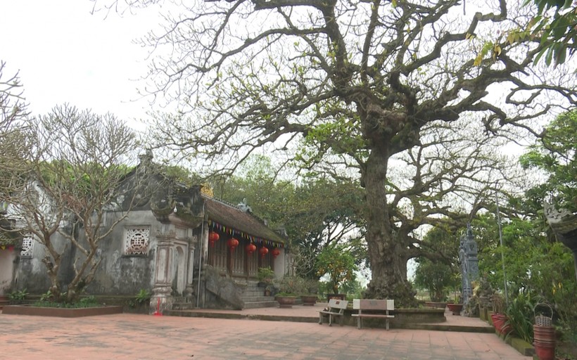 Ngoài đền Côn Giang, ở Thái Bình còn nhiều nơi thờ Hoàng giáp Quách Hữu Nghiêm.